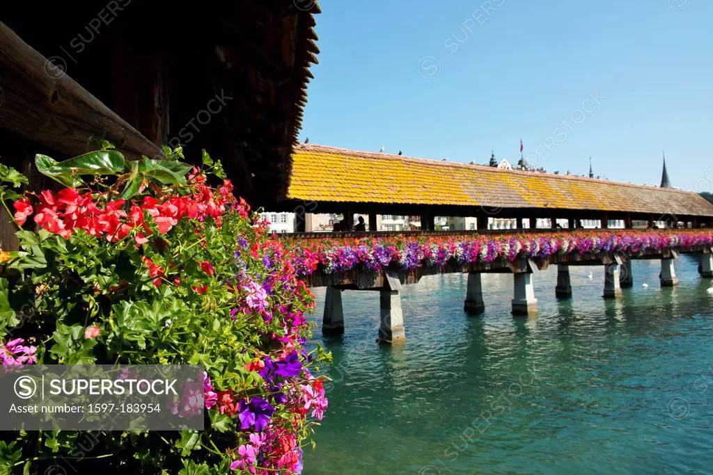 Switzerland, Europe, Lucerne, Luzern, town, city, Old Town, chapel bridge, bridge, tourism, flowers, Reuss, river,