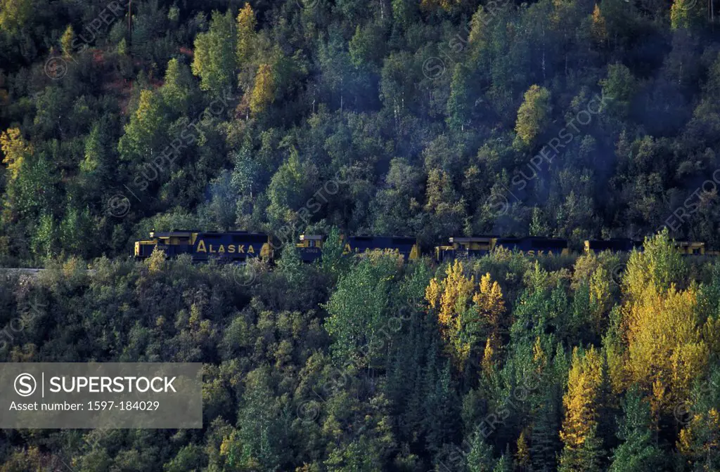 Denali, National Park, Preserve, Alaska, USA, forest, train, freight, tracks, fall, autumn, smoke, trees