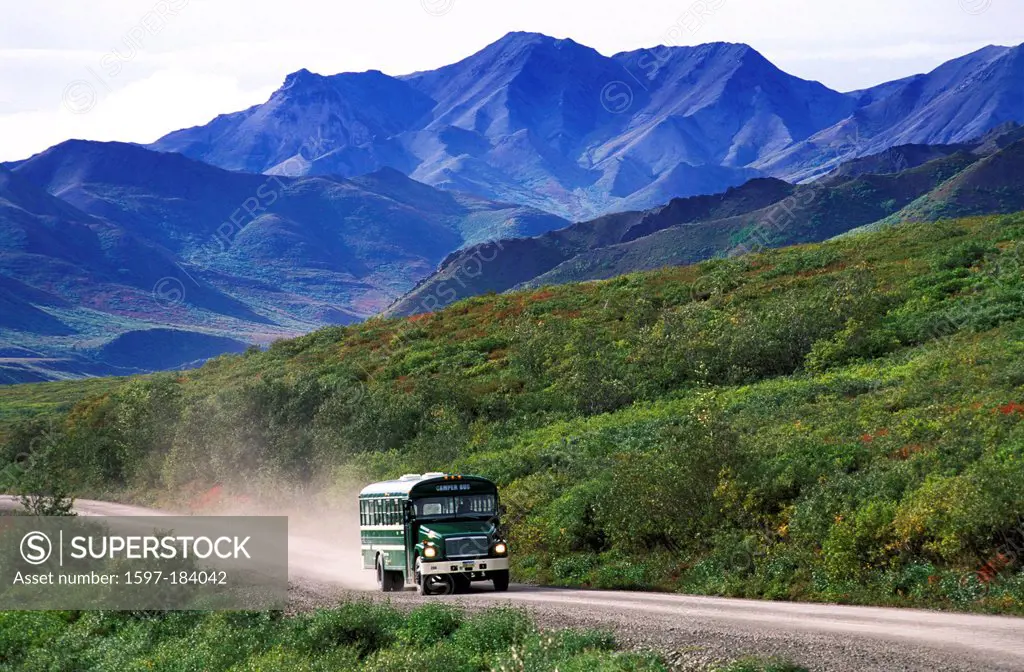 Shuttle Buses, Kantishna Road, Denali, National Park, Preserve, Alaska, USA, bus, mountains, sunny, vacation, adventure, lush land, dirt road