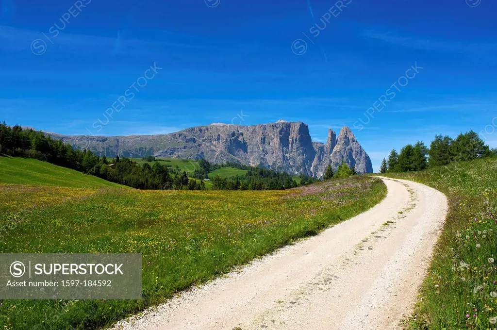 South Tirol, Italy, Europe, Schlern, Seiser Alm, Dolomites, mountain landscape, mountain, mountains, scenery, nature, Trentino, outside, day,