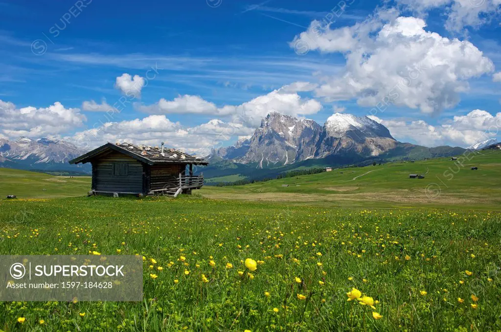South Tirol, Italy, Europe, Seiser Alm, Langkofel, Dolomites, mountain landscape, mountains, scenery, nature, Trentino, alpine hut, mountain hut, hut,...