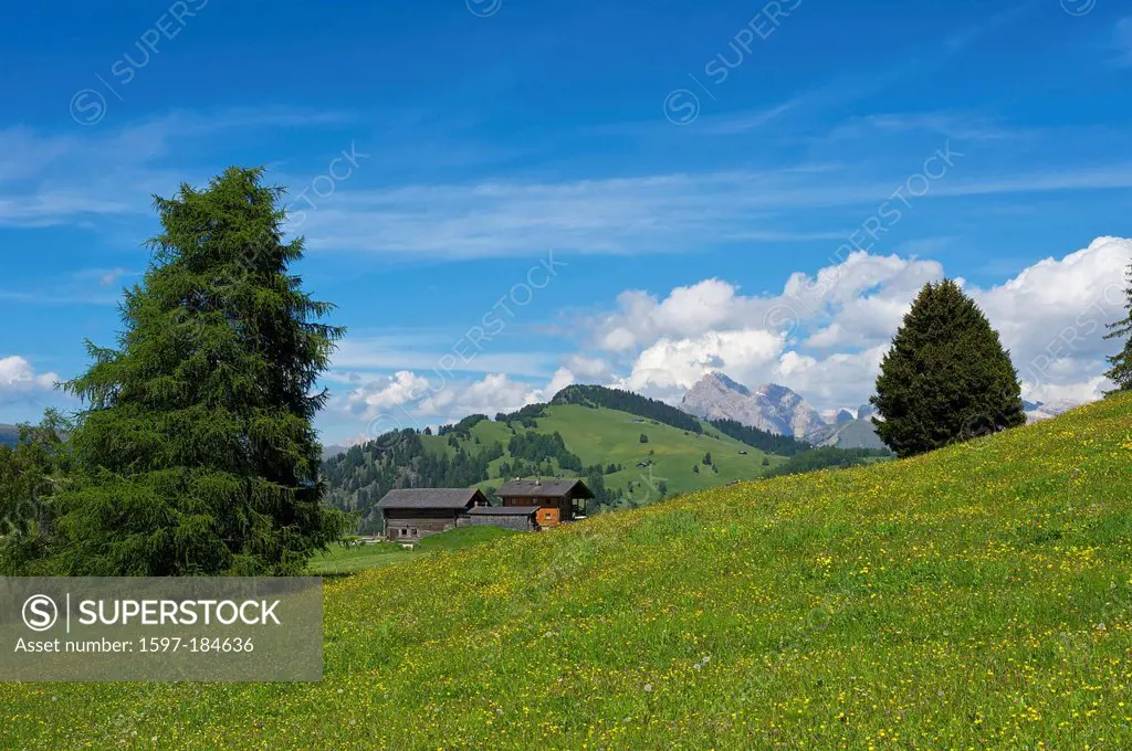 South Tirol, Italy, Europe, Seiser Alm, Dolomites, mountain landscape, mountains, scenery, nature, alpine hut, mountain hut, hut, outside, day, Trenti...