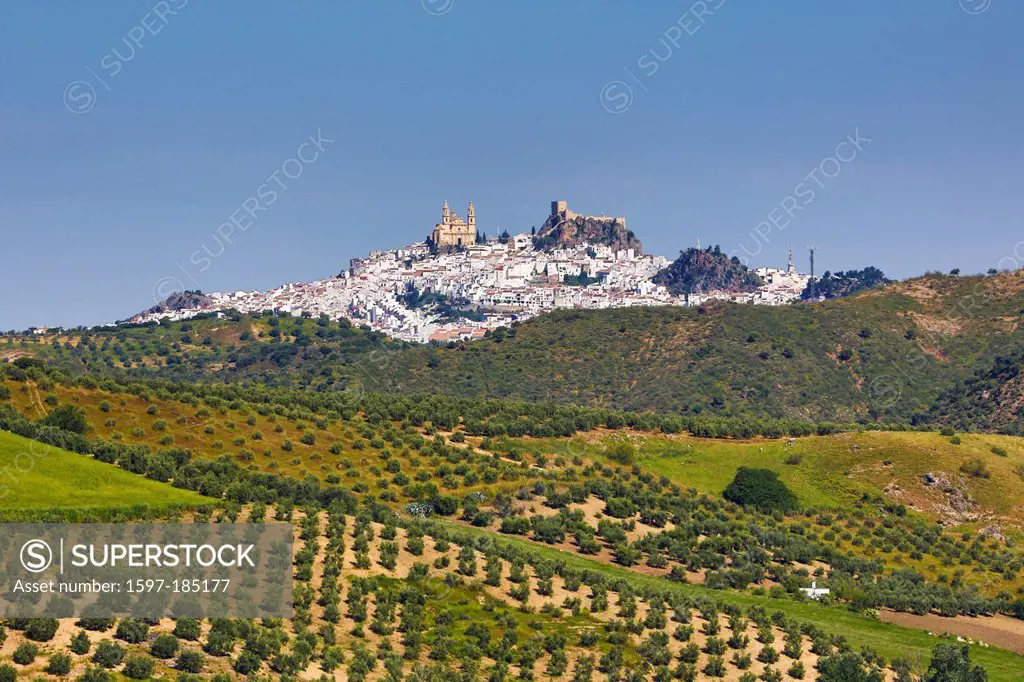 Spain, Europe, Andalucia, Region, Province, Olvera, City, agriculture, architecture, castle, colourful, olive, pueblo, skyline, steep, touristic, trav...