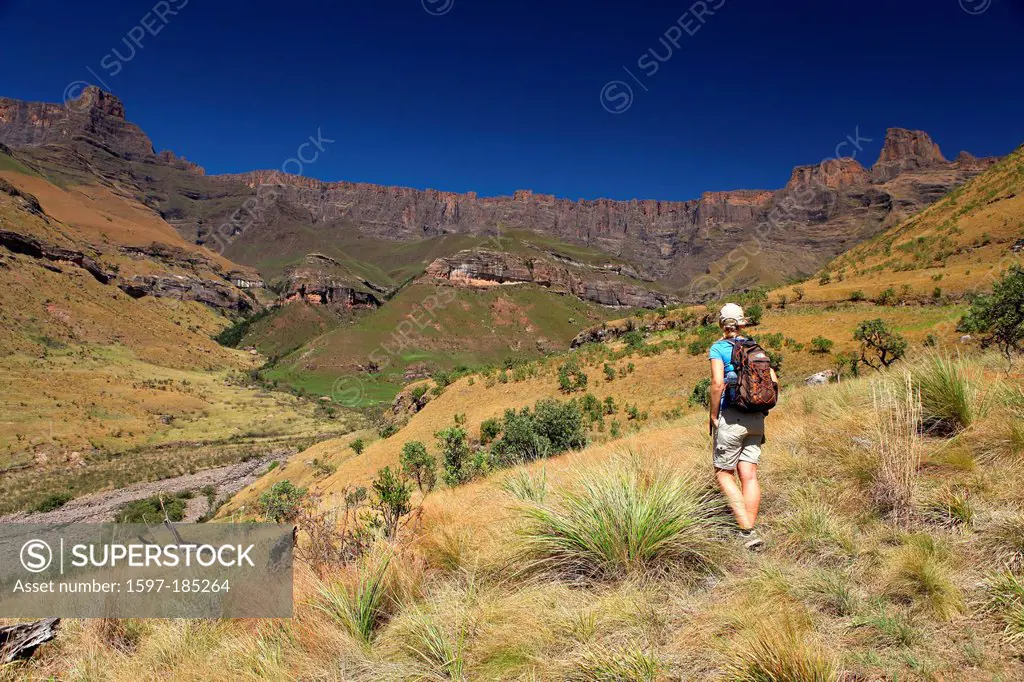 Amphitheatre, Royal Natal, National Park, South Africa, Africa, mountain, woman,