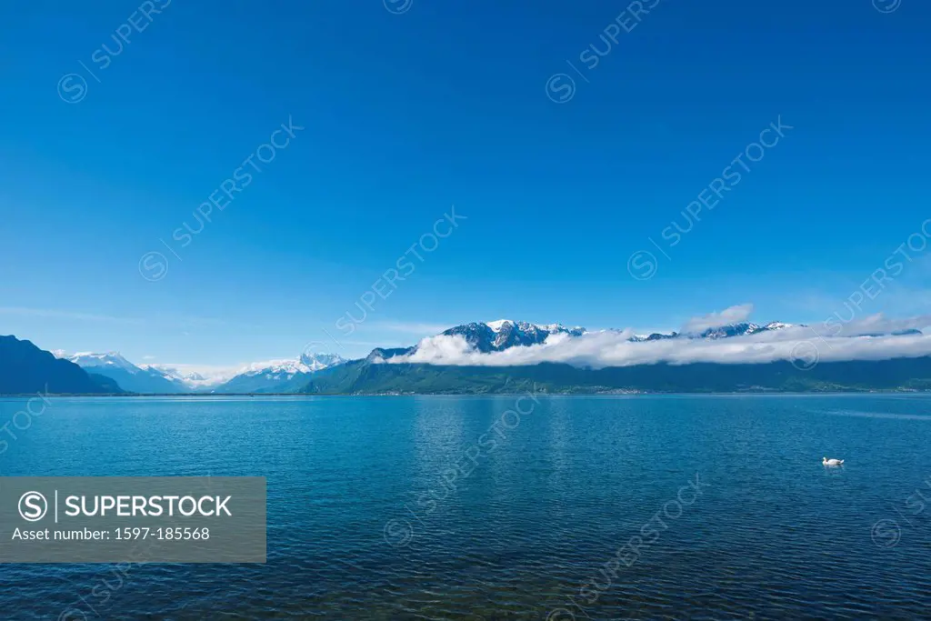 Lac Leman, cloud, Vaud, VD, lake, Lac Léman, Lake Geneva, Leman, summer, mountain, mountains, Switzerland, Europe,