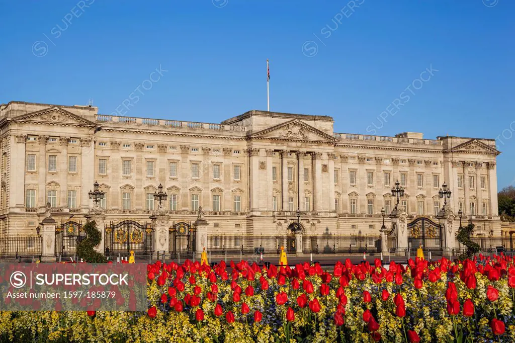 England, London, Buckingham Palace and Tulips