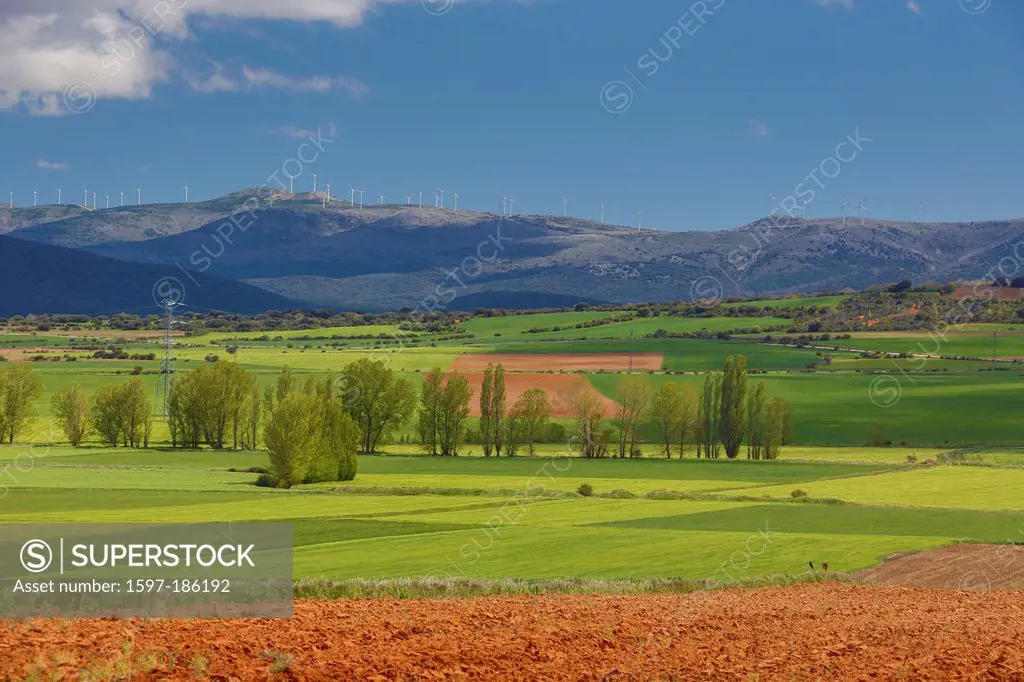 Aragon, colourful, countryside, earth, landscape, nature, purple, red, soria, Spain, Europe, spring, agriculture, field,