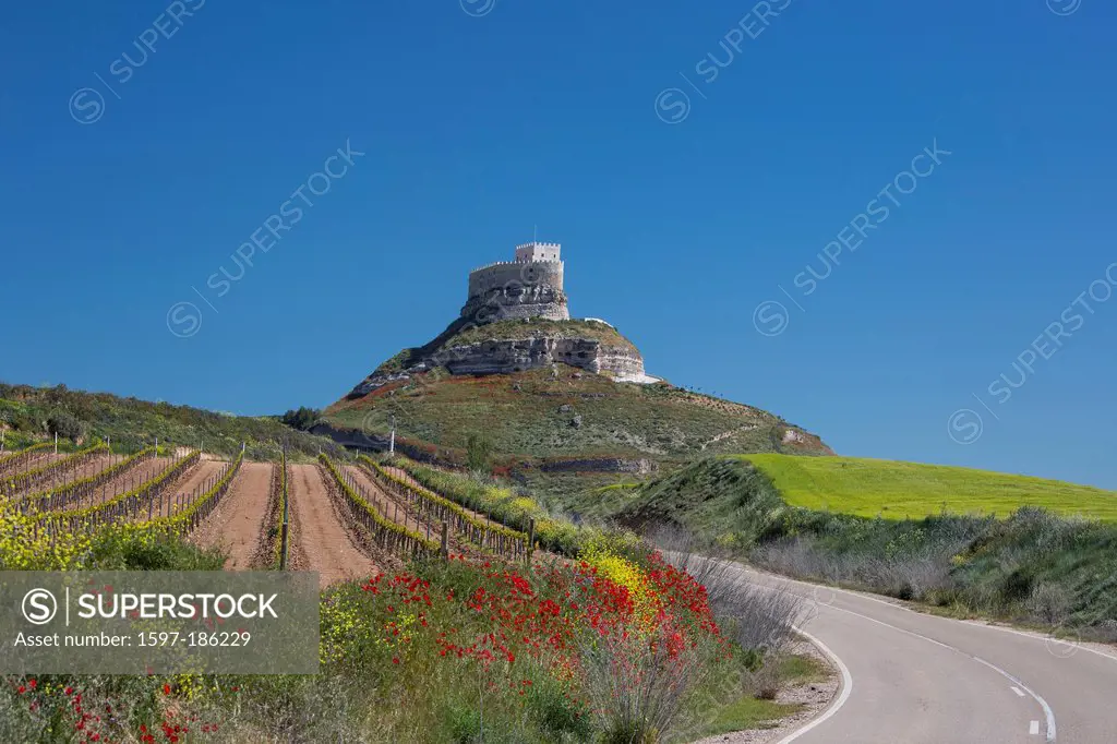 Castilla, Castile, Duero, Valladolid, poppies, architecture, castle, curiel, fortress, history, landscape, lone, old town, road, Spain, Europe, spring...