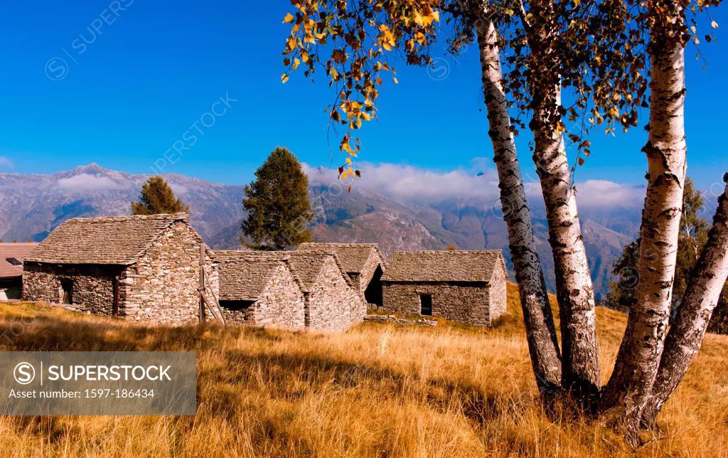 Switzerland, montains, autumn, landscape, agriculture, Maggia valley, rustici, Rustico, house, home, stone house, Switzerland, Ticino, tourism, valle ...
