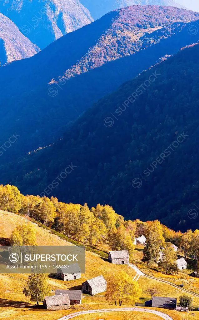 Switzerland, montains, autumn, landscape, agriculture, Maggia valley, rustici, Rustico, house, home, stone house, Switzerland, Ticino, tourism, valle ...
