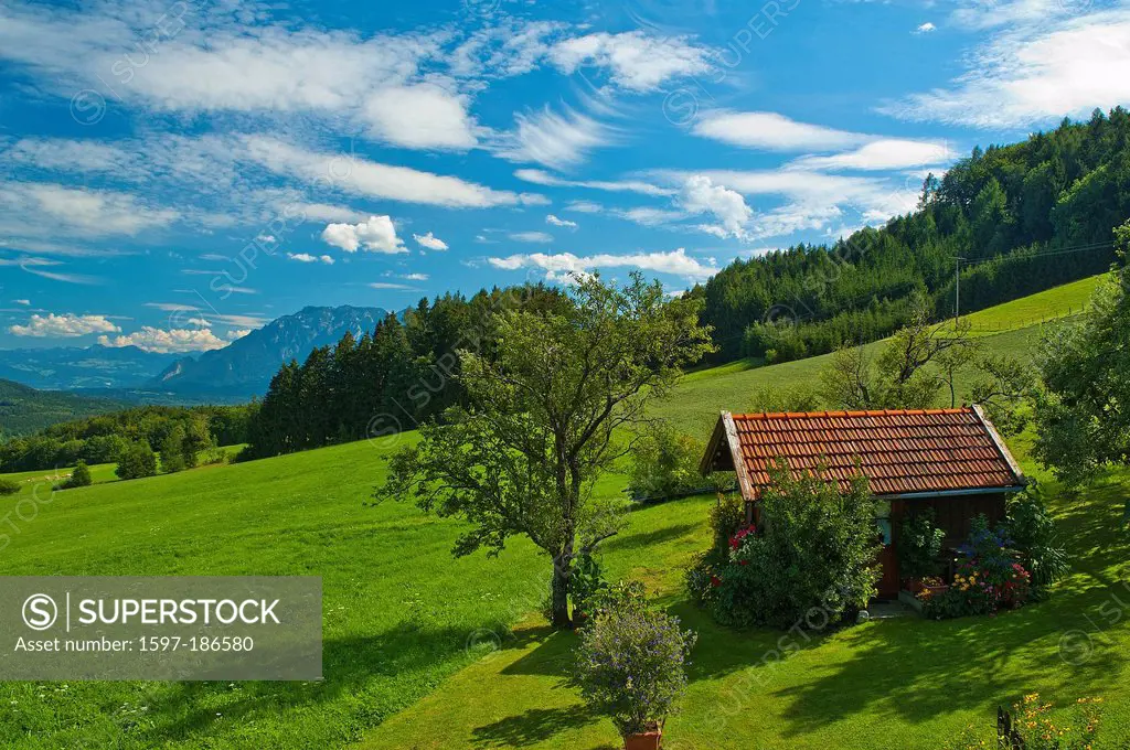 Germany, Europe, Bavaria, Upper Bavaria, Berchtesgaden country, Rupertiwinkel, Anger, tree, meadow, flower meadow, agriculture, agrarian, barn, biolog...