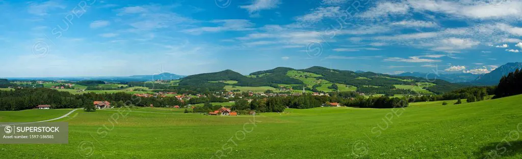 Germany, Europe, Bavaria, Upper Bavaria, Berchtesgaden country, Rupertiwinkel, Anger, meadow, flower meadow, agriculture, agrarian, cultivate, biologi...