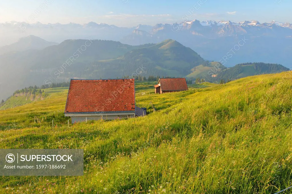 Europe, Swiss, Switzerland, Mount Rigi, Rigi, mountain, Schwyz, meadow, grass, wildflower, barn, mountains, panorama, alps, range