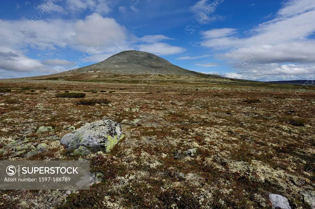 Fjell, lichen, rocks, mountain, Elgpiggen, Speckadalen, Hedmark, Norway