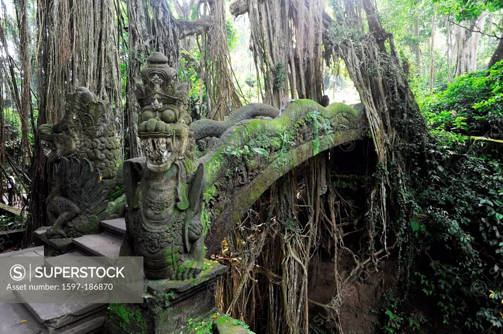 Asia, Indonesia, Bali, Ubud, wood, forest, monkey forest, sanctuary, Buddhist, bridge