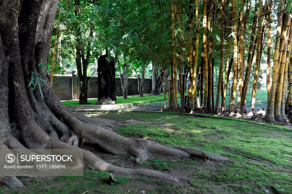 Asia, Indonesia, Java, Borobudur, Mendut, statue, cloister, garden, bamboo, tree,