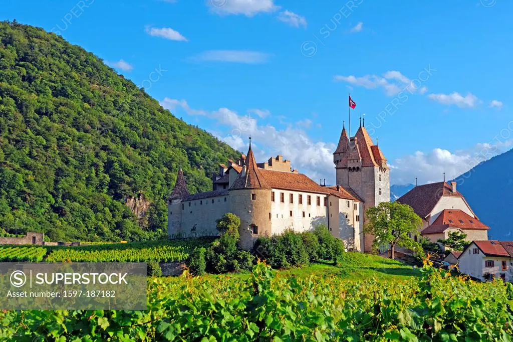 Europe, Switzerland, CH, Vaud, Aigle, Chemin de l'Ecluse, castle, Aigle, castle, place, wine, vineyards, architecture, trees, castles, fields, buildin...