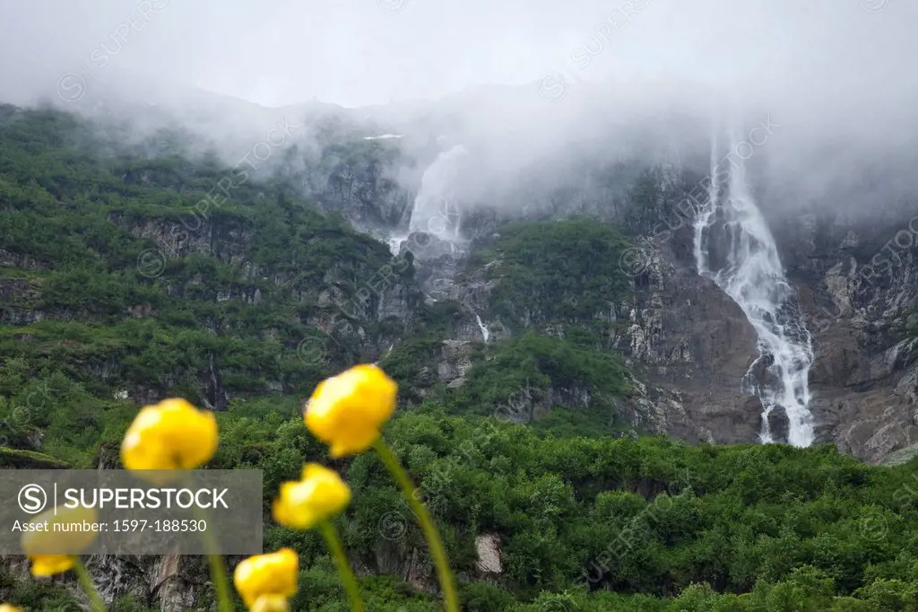 Switzerland, Europe, canton, Bern, Bernese Alps, Bernese Oberland, waterfall, Schmadribachfälle, Lauterbrunnental, troll flowers,