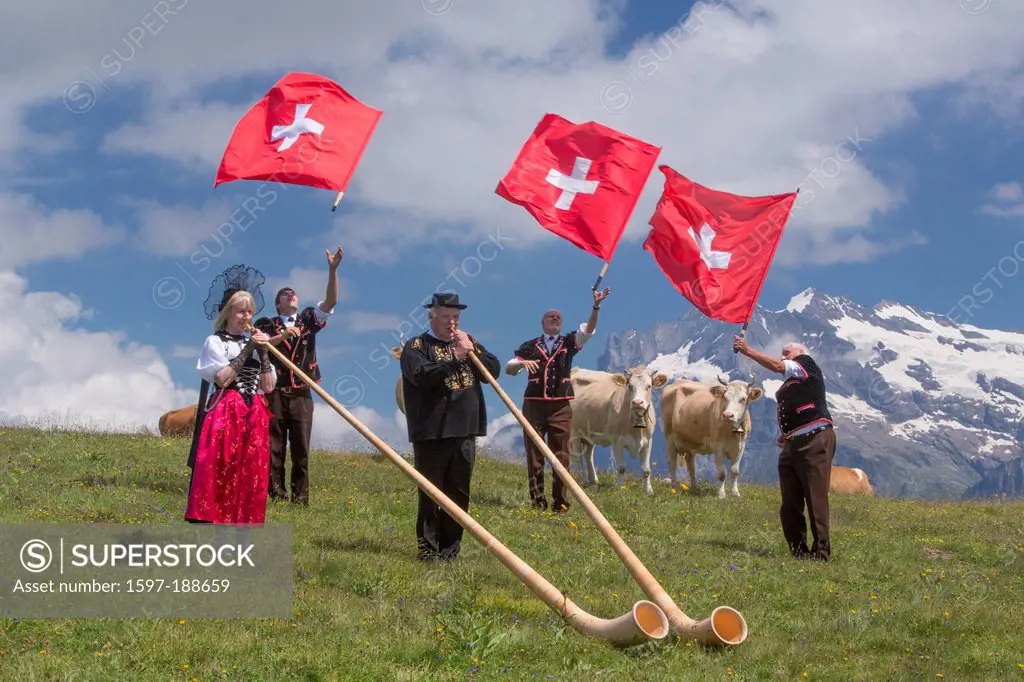 Switzerland, Europe, alphorn, flag throwing, flag swing, tradition, folklore, national costumes, national costume party, event, canton, Bern, Bernese ...