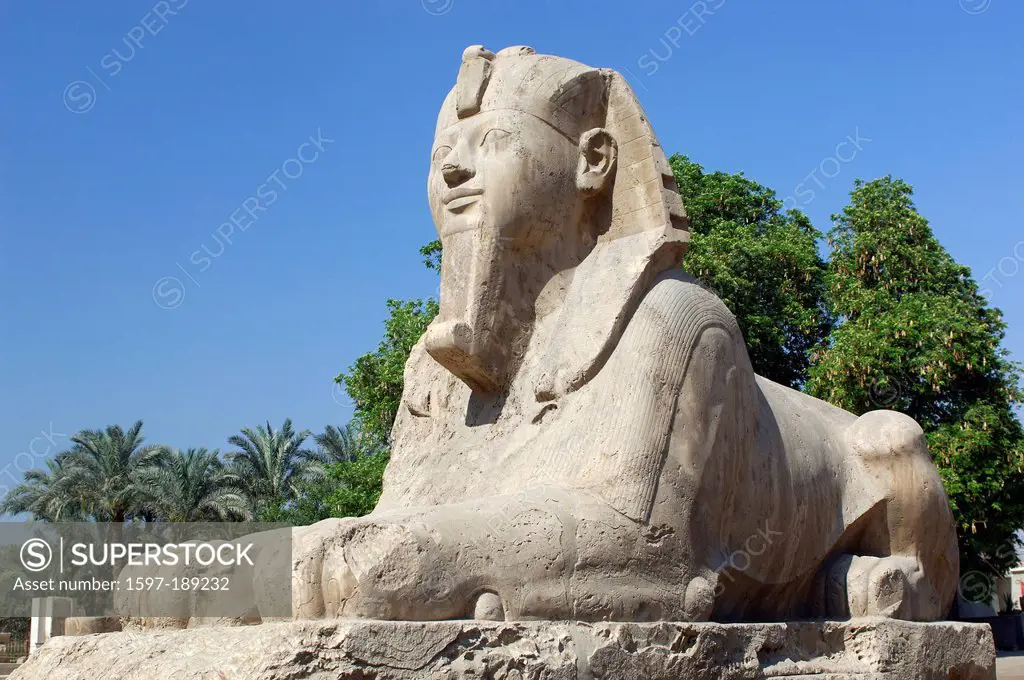 Africa, Middle East, Egypt, Cairo, Ramses II, Statue, Memphis, Museum, Mit-Rahina, Ramses