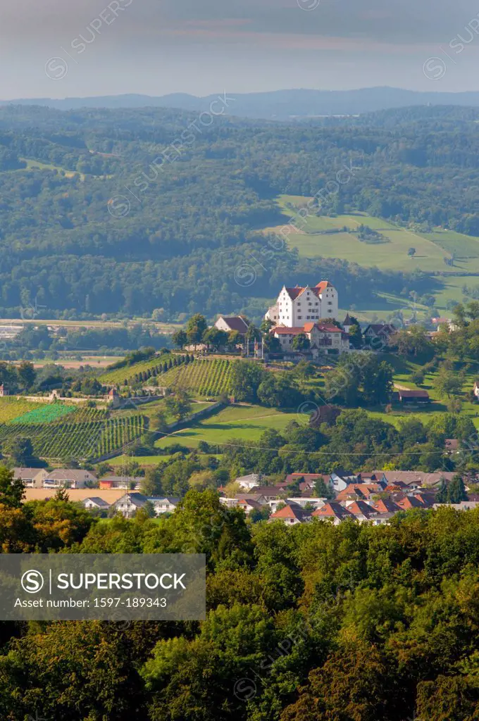 Aargau, Switzerland, Europe, castle, wildegg, wood, forest,