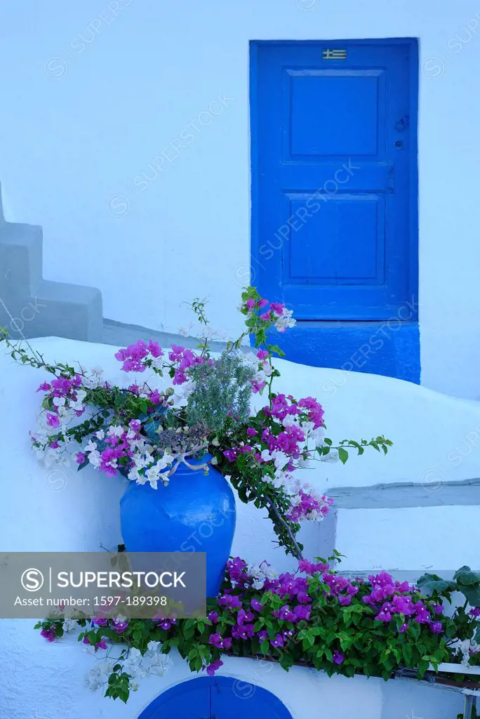 Europe, Aegean, Cyclades, Greece, Santorini, Thira, Island, Greek, flower, pot, bloom, door, detail, still, architecture, Greek, white, blue
