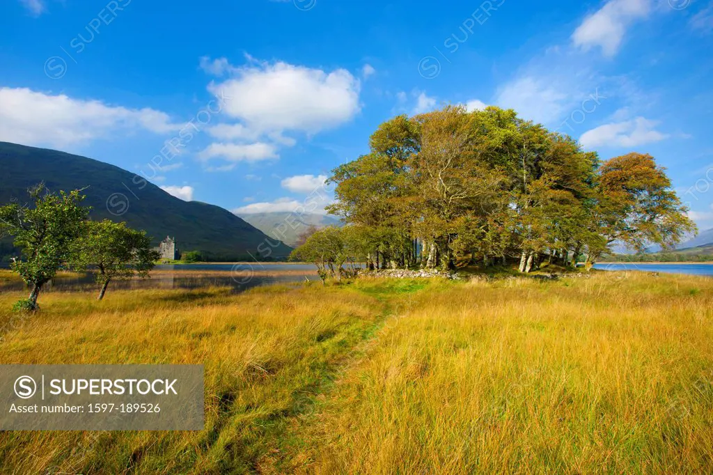Loch Awe, Great Britain, Europe, Scotland, lake, water, way, meadow, trees, autumn, castle, stones, moss