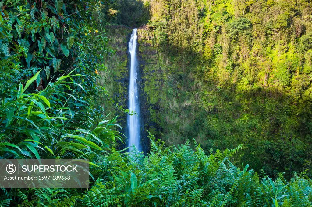 Akaka Falls, Akaka, USA, United States, America, Hawaii, Big Island, waterfall, cataract, rain forest
