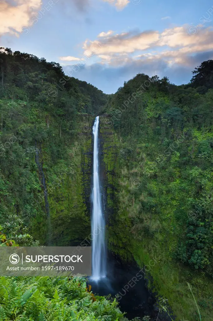 Akaka Falls, Akaka, USA, United States, America, Hawaii, Big Island, waterfall, cataract, rock, kettle, ferns