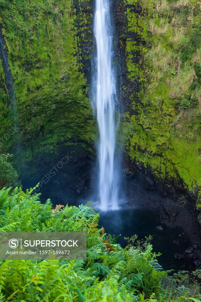 Akaka Falls, Akaka, USA, United States, America, Hawaii, Big Island, waterfall, cataract, rock, kettle, ferns