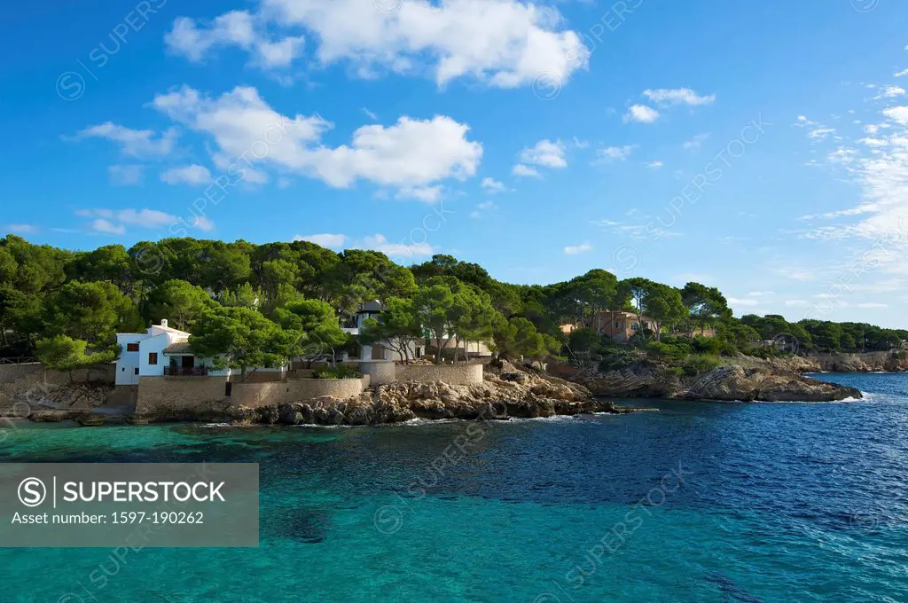 Balearic Islands, Majorca, Spain, Europe, Cala Gat, Cala Ratjada, bay, coast, coastal scenery, landscape, scenery, Mediterranean Sea, sea, outside, no...