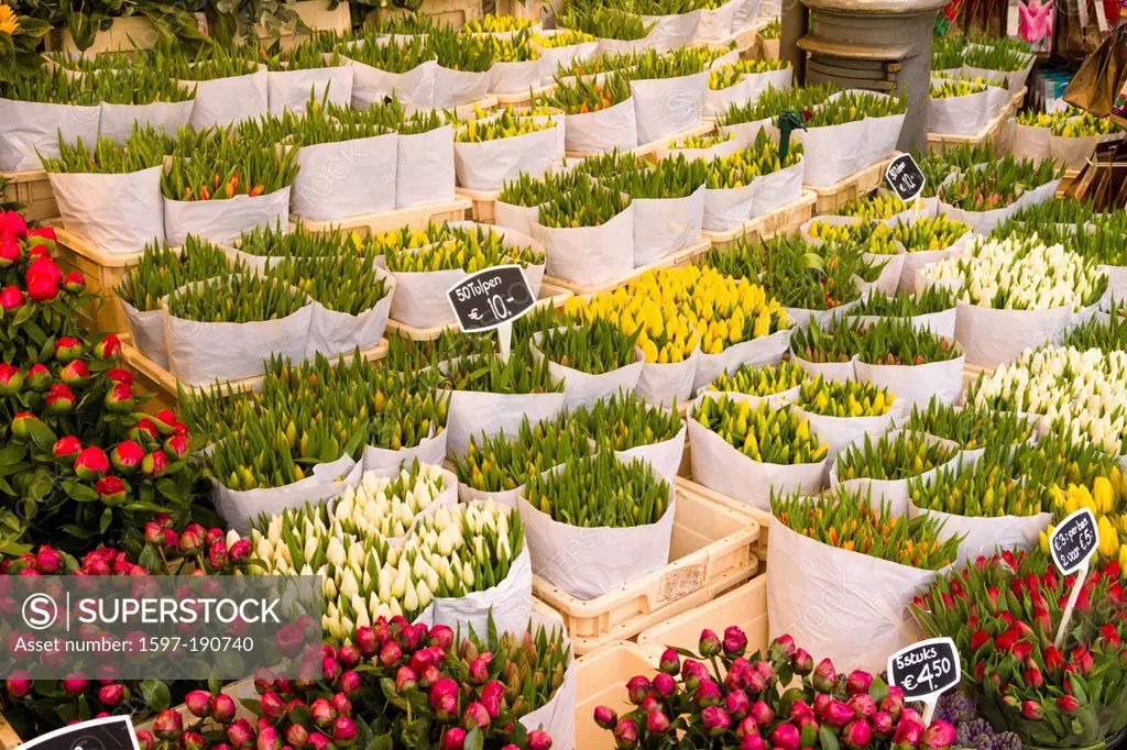 Tulips for sale at Flower market