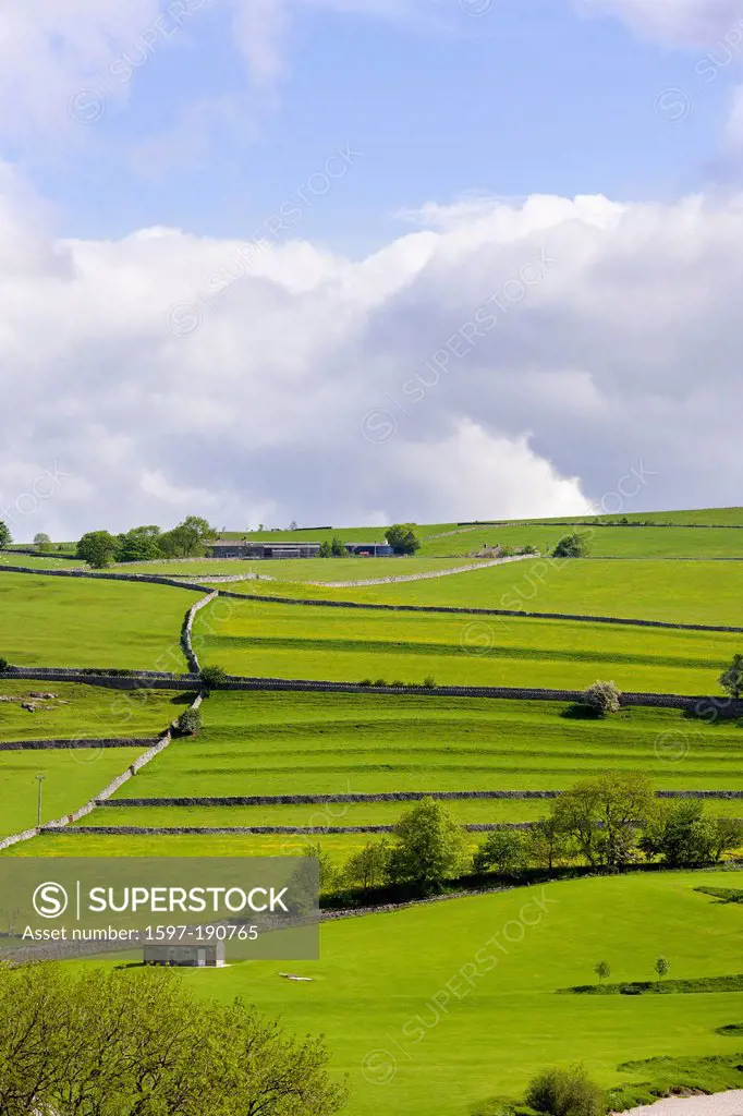 Pastureland, Burnsall, Yorkshire Dales