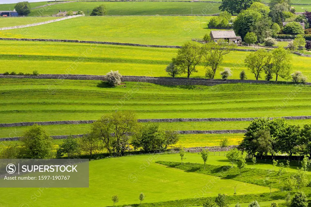 Pastureland, Burnsall, Yorkshire Dales