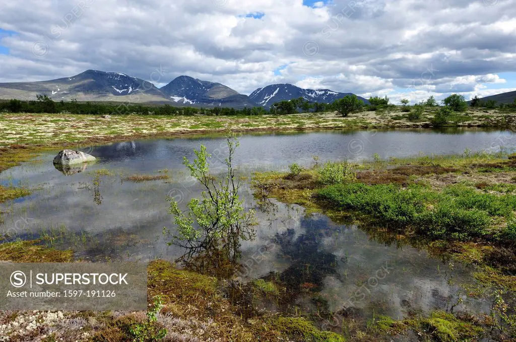Fjell, pond, birch, tree, clouds, reflections, mountains, Rendals Sølen, Sølendalen, scenery, Hedmark, Norway, Europe,