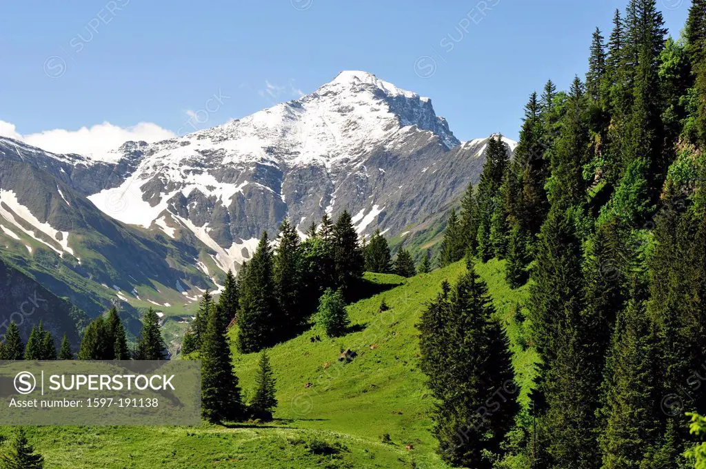 Valley of Weisstannen, Foostock, mountains, Swiss Alps, snow, Canton St. Gall, Switzerland, Europe, Europe, firs,
