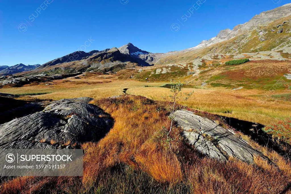 Passo del San Bernadino, mountain, pass, height of the pass, Alpe de Mucia, alpine pasture, Piz de Mucia, mountains, Alps, swamp, autumn, autum colour...