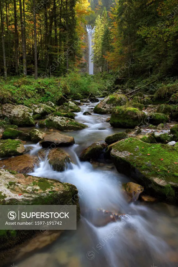 Appenzell, Appenzell Innerrhoden, creek, brook bed, stream course, brook Berndli, movement, river, flow, river run, autumn, autumn foliage, foliage, L...