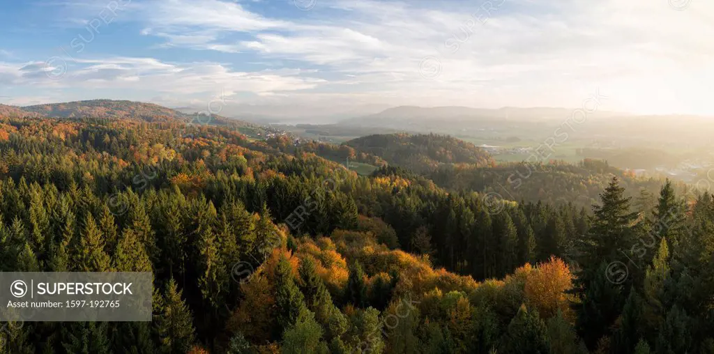 Evening, view, Esterliturm, spruce, Flare, Hallwilersee, lake Hallwil, autumn, scenery, landscape, deciduous forest, Lenzburg, light, mixed forest, pa...