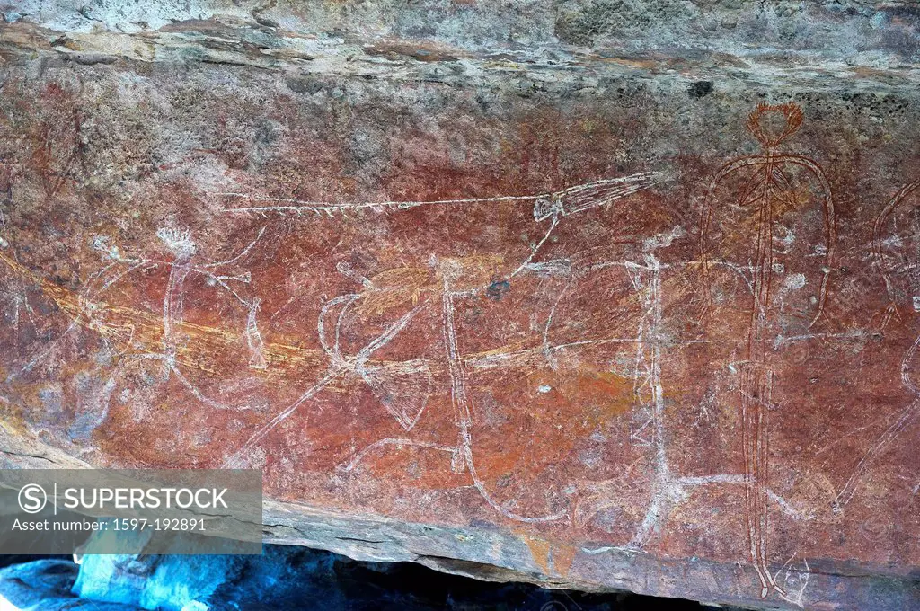 Australia, cockatoo, national park, Northern Territory, cliff drawings, rock painting,