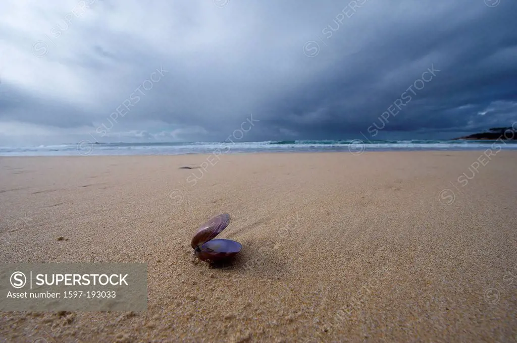 Australia, Island, sea, mussel, sand beach, mood, beach, seashore, Victoria, Wingan Inlet, sand, coast