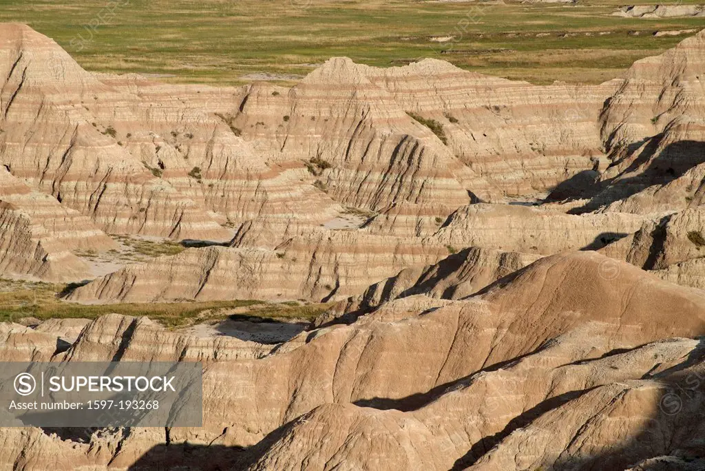 Bighorn Sheep, Ovis canadensis, Badlands, National Park, South Dakota, USA, United States, America, rocks