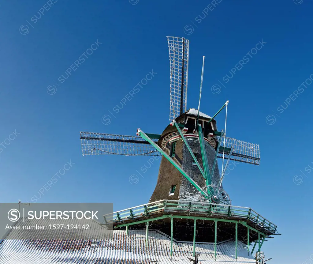Netherlands, Holland, Europe, Zaandam, North Holland, windmill, winter, snow, ice, frost, Cat