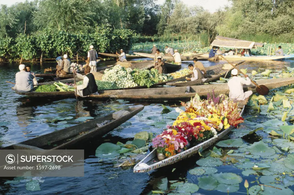 10205423, flowers, logboat, Floating Market, vegetables, India, Asia, cashmere, Kashmir, Srinagar,