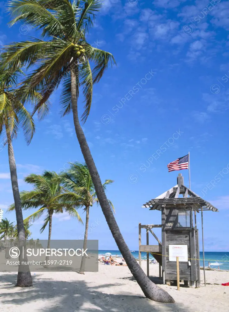 10206919, bathers, Florida, fort Lauderdale Beach, coast, palms, beach, seashore, USA, America, North America,