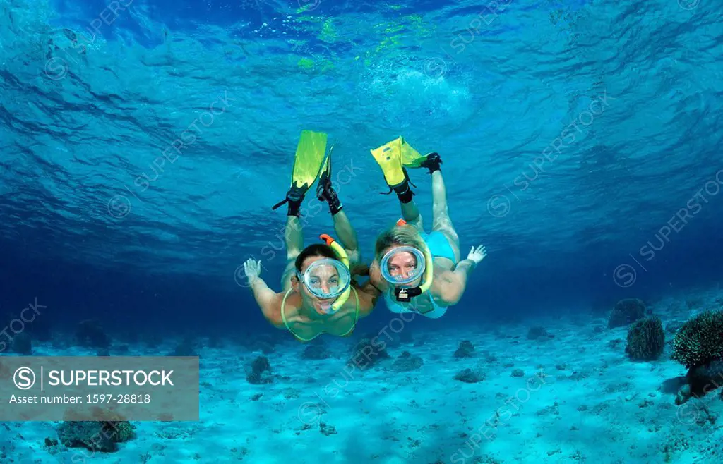 Two snorkeling girls, Maldives, Asia, Indian Ocean, asia, bathe, bathing, beings, complete body, couple, day, daylight