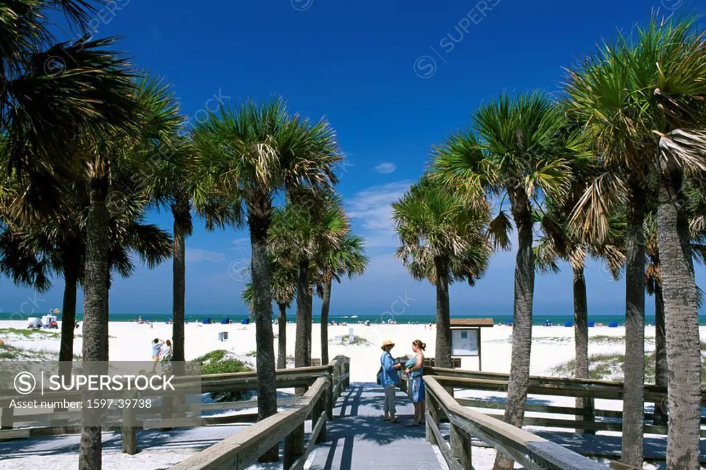 Clearwater Beach, St. Petersburg, Florida, USA, America, United States, North America, America, North America, Palm tr