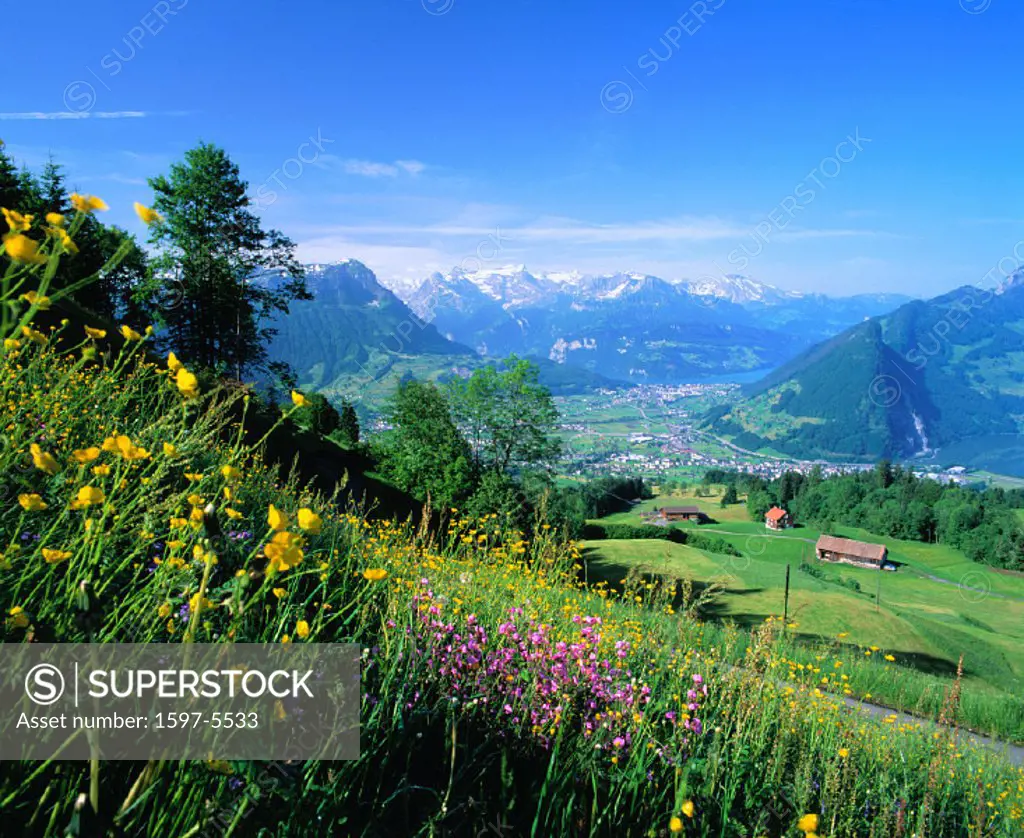 10612910, scenery, flower meadow, central Switzerland, look, glance, at well, Vierwaldstättersee, lake Lucerne, lake, sea, Int