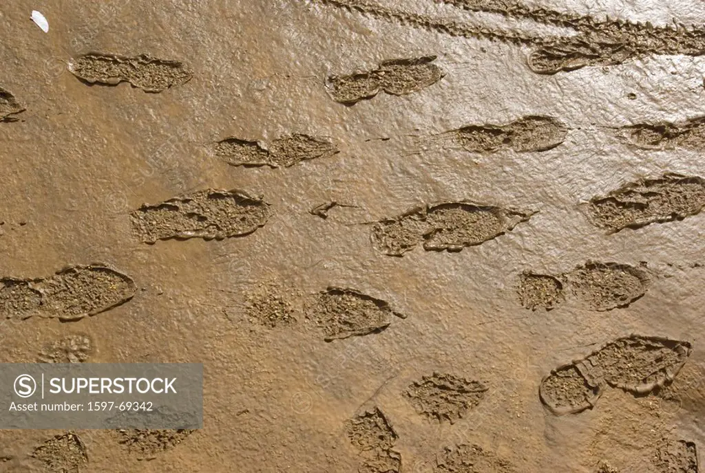 10852414, footprints in mud, footprints, mud, silt