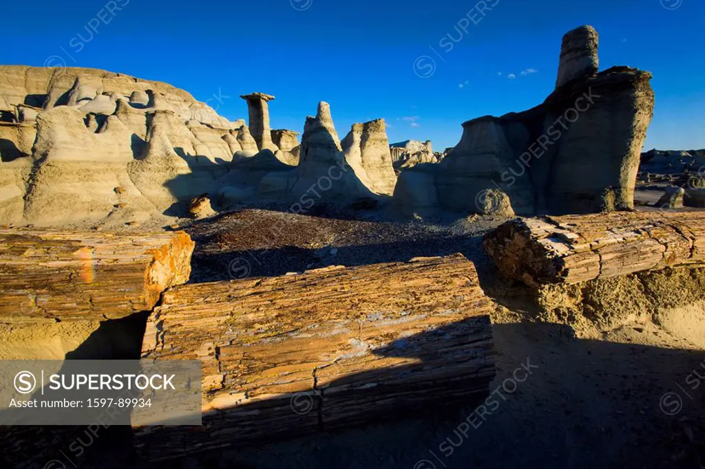 Bisti Wilderness, USA, Amerika, Vereinigte Staaten, New Mexico, Badlands, Erosion, Felsen, Felsskulptur, Sandstein, Hoodoos, ver